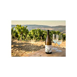 La Miranda Secastilla Garnacha Blanca white wine 75cl (British brand)