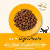 Applaws dry cat food Adult Chicken 2kg - British product