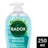 Radox Anti Bac Replenishing Antibacterial Liquid Hand Wash 250ml