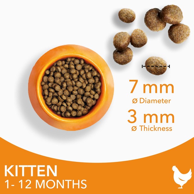 IAMS kitten dry cat food chicken 3kg, UK version