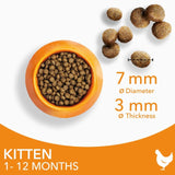 IAMS kitten dry cat food chicken 3kg, UK version