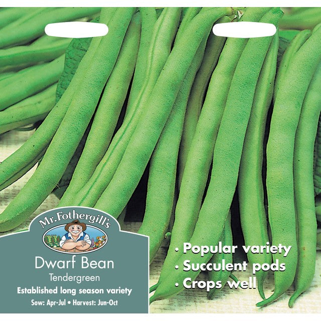 Graines de haricots nains Tendergreen Mr Fothergills, importées du Royaume-Uni