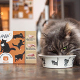 HiLife cat food meat selection 12 x 70g, UK version