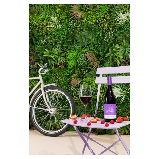 Cono Sur Bicicleta Pinot Noir red wine 75cl - British product