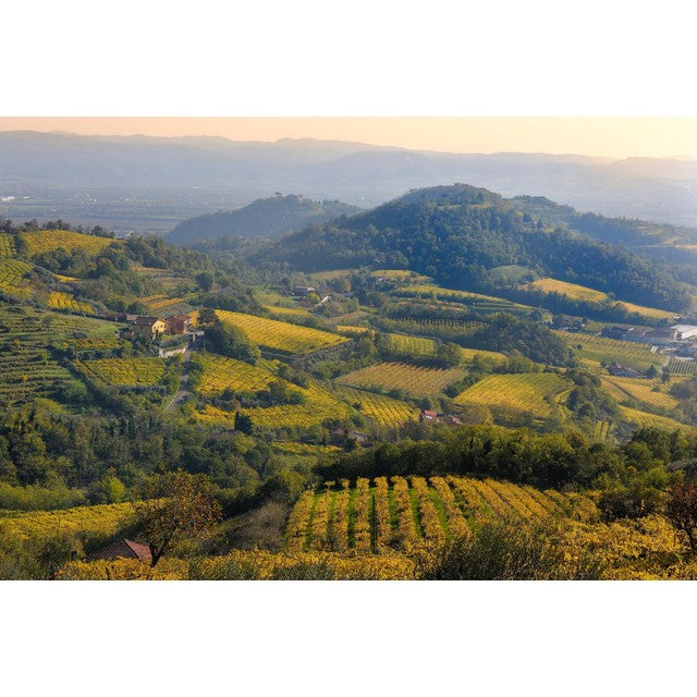 Faldeo Prosecco Rosé sparkling wine 75cl - British product