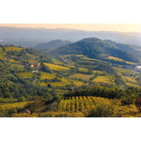 Faldeo Prosecco Rosé sparkling wine 75cl - British product