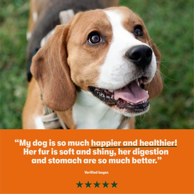 Harringtons wet dog food mixed pack 6.4kg, UK version