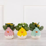 Sainsburys Large Easter Chick Ceramic