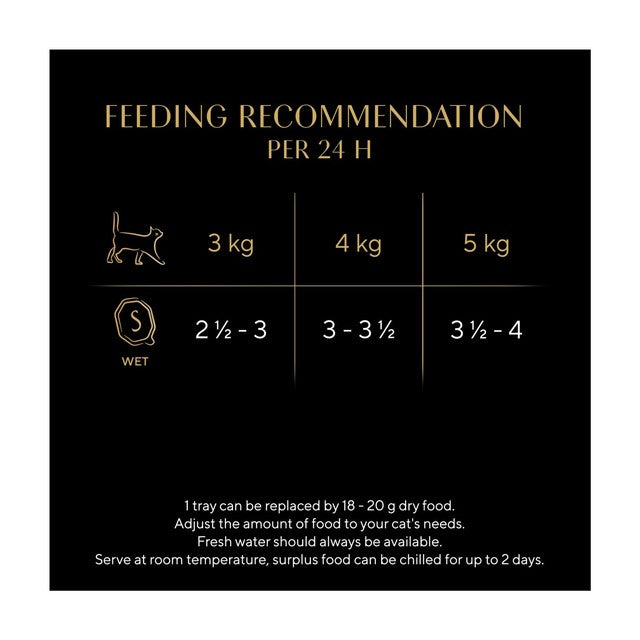 Sheba wet cat food MSC Salmon in Terrine 85g (British brand)