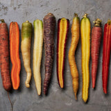 Natoora French Mixed Heritage Carrots 500g, imported from the UK
