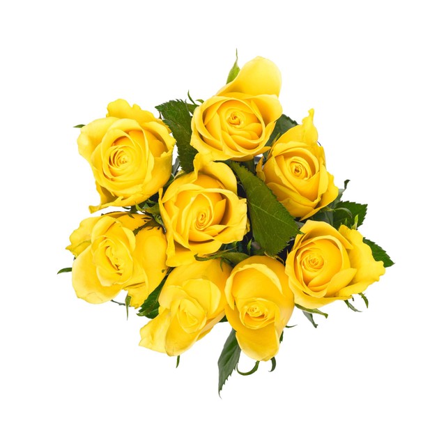 MM Flowers yellow roses 8 stems 40cm (British brand)