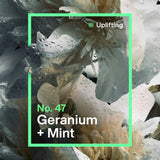 INEOS Deodorant Wipes Geranium Mint 15 Pack, UK version