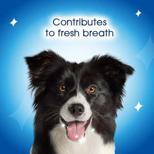 Dentalife medium chicken dog dental chews - British product
