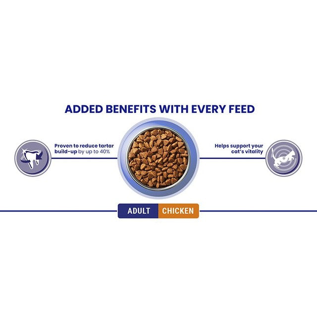 Purina One chicken dry cat food - British product