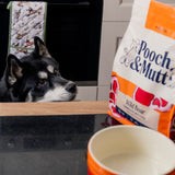 Pooch & Mutt Primal Wild Boar dry dog food 2kg (British brand)