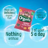 Organix BBQ Gruffalo Claws toddler snacks 4x15g, imported from the UK