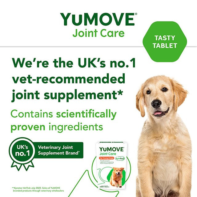 Lintbells YuMOVE Young & Active Dog Joint Supplement (British brand)