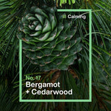 INEOS antibacterial multi-room cleaner bergamot cedarwood 750ml, UK version