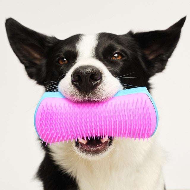 Tangle Teezer De-shedding Dog Grooming Brush Blue Pink, imported from the UK
