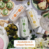 HOLOS Organic Sparkling Tea Rooibos Ginger 250ml, imported from the UK