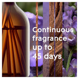 Glade Aromatherapy Reed Diffuser French Lavender Sandalwood 80ml, UK version