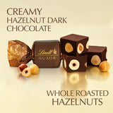 Lindt NUXOR Dark Gianduja Chocolate with Hazelnuts 150g, UK version