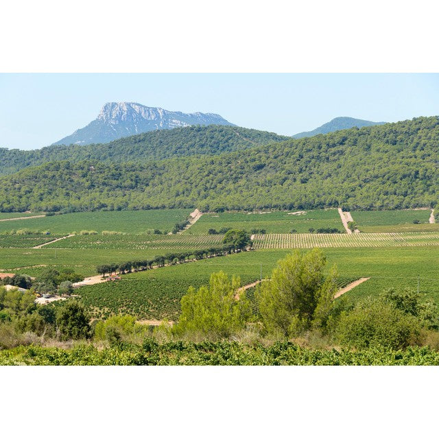 Chateau La Gordonne Rosé Magnum 1.5L - British product
