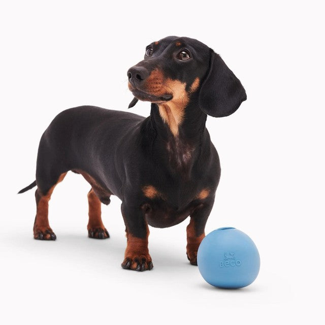 Beco Natural Rubber Wobble Ball Dog Toy Blue - British product