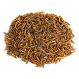 RSPB mealworms 200g, imported from the UK