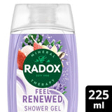 M&S Radox Feel Renewed Shower Gel- Buy online at McGrocer