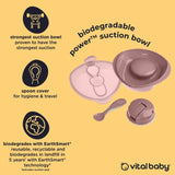 Vital Baby suction bowl natural berry (British brand)
