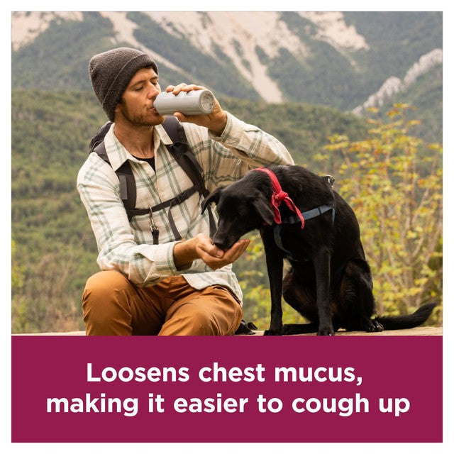 Benylin maximum strength mucus relief tablets for productive cough - British product