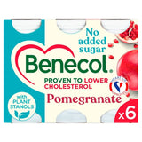 M&S Benecol Cholesterol Lowering Pomegranate Yogurt Drink 6 x 67.5g- Buy online at McGrocer
