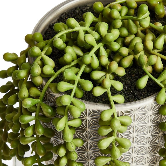 M&S artificial string of pearls plant in ceramic pot, imported from the UK