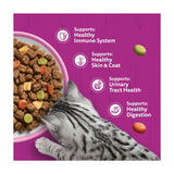 Whiskas dry cat food with salmon 800g (British brand)