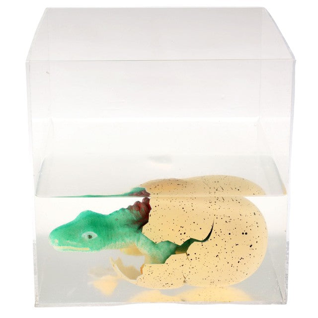 Rex London giant hatching dinosaur egg toy, imported from the UK