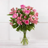 Sainsburys Rose Alstroemeria