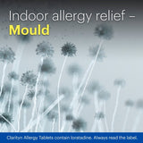 Clarityn Hayfever Relief Tablets One A Day 10 pack - British product