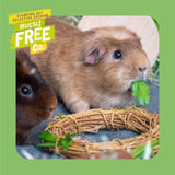 Burgess guinea pig food nuggets with mint, UK version