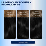 Clairol permanent hair dye in Blackest Black - British product