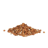 Peckish peanut bird feeder 300g, imported from the UK