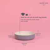Mason Cash Colour Mix Grey cat saucer 13cm, imported from the UK