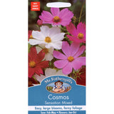Graines de fleurs mélangées Cosmos Sensation de Mr Fothergill