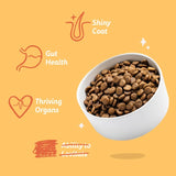 Edgard & Cooper grain-free dog food with chicken - British product