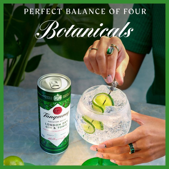 Tanqueray London Dry Gin & Tonic ready to drink can 250ml (British brand)