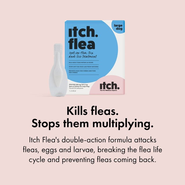Itch flea spot-on treatment for large dogs 20-40kg, UK version
