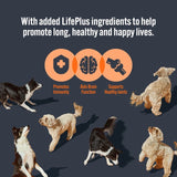 HiLife wet dog food variety pack 32 x 150g, UK version