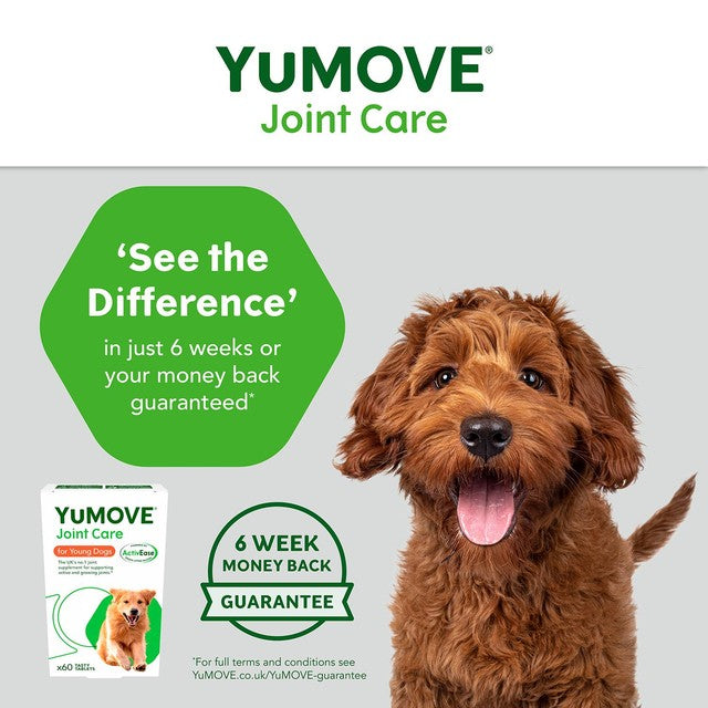 Lintbells YuMOVE Young & Active Dog Joint Supplement (British brand)
