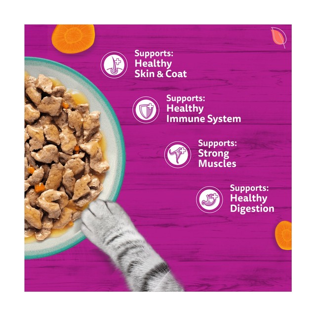 Whiskas wet cat food pouches Catch of the Day 12 x 85g (British brand)