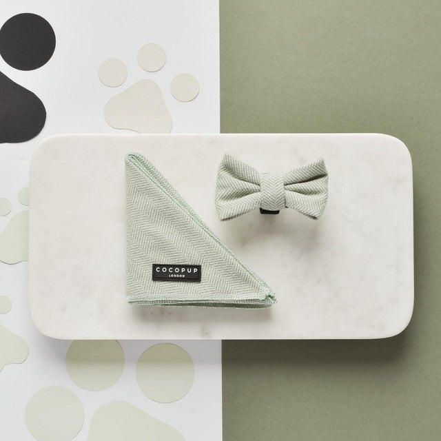 Cocopup London sage tweed dog bandana and bow tie set - British product